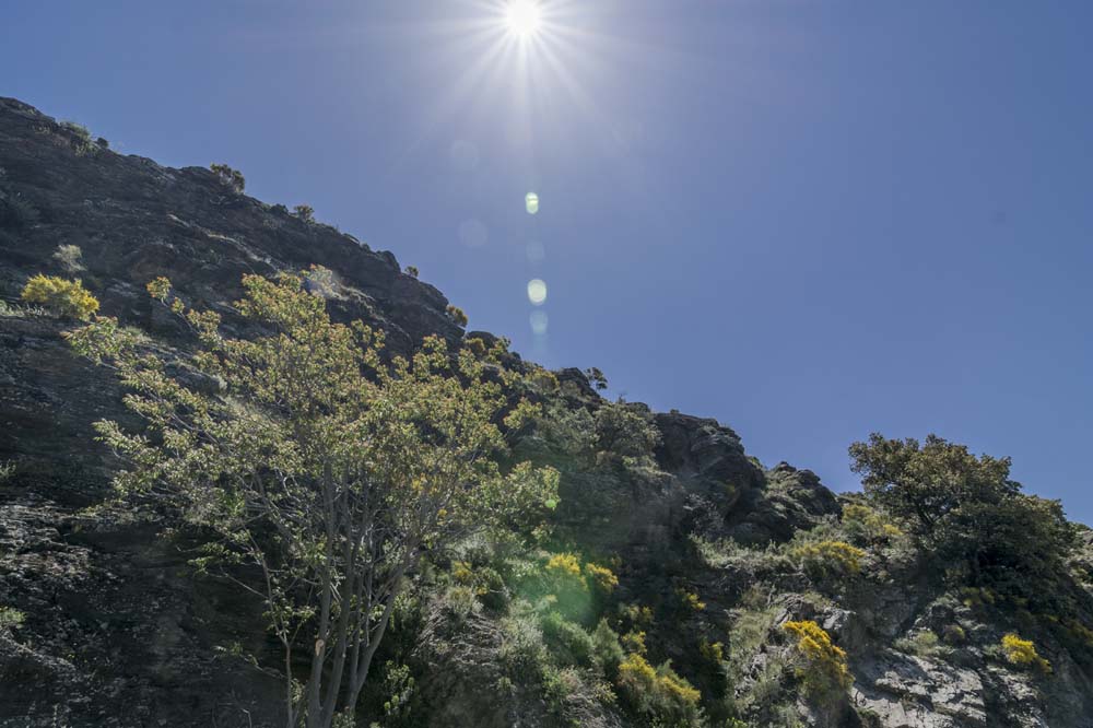 Excellent walking area